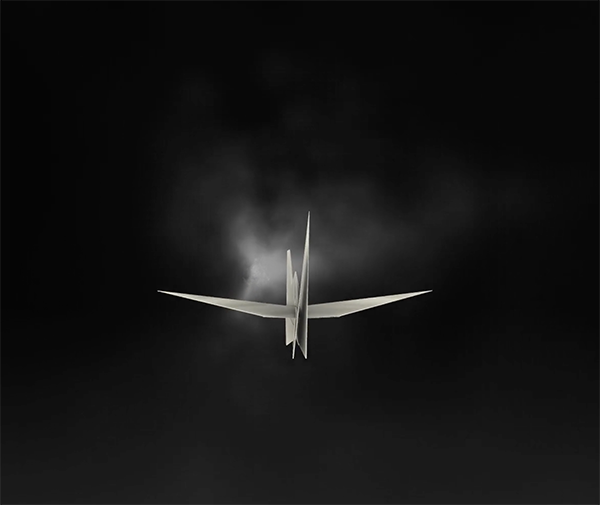 Crane in Black and White