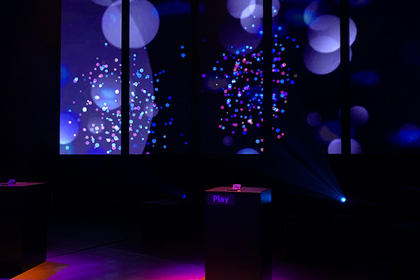 F8 Interactive Installation